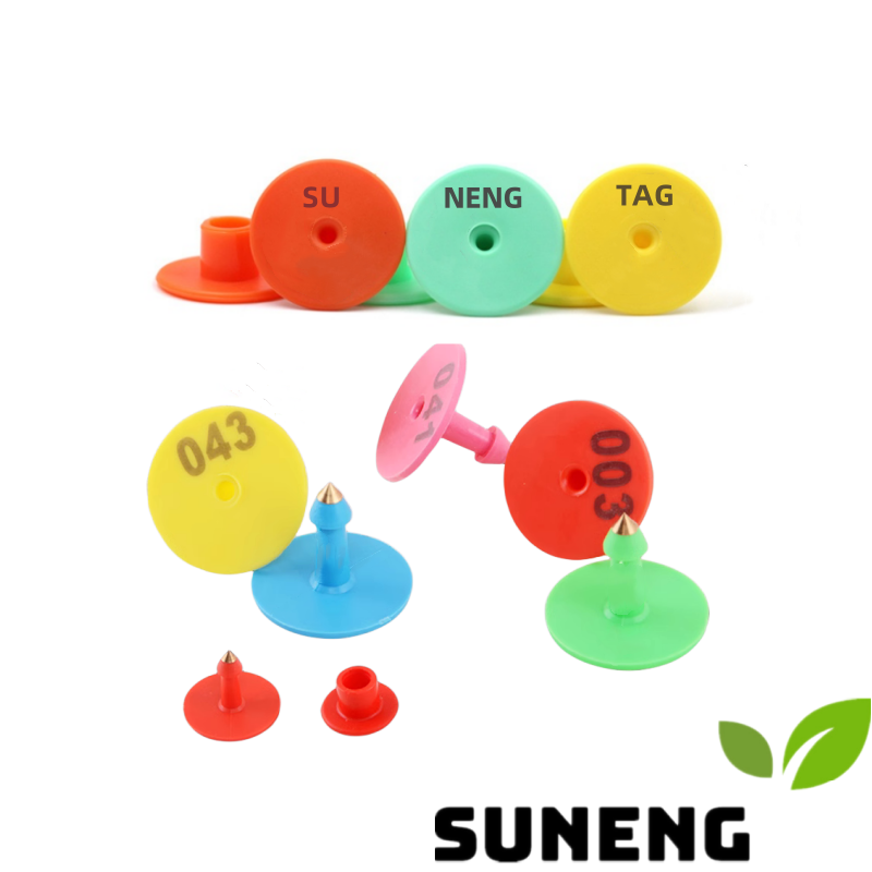 circle_round_pig_ear_tag_colors_pic