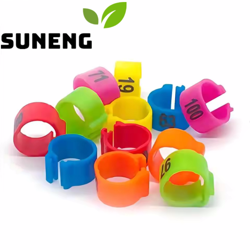 bird_foot_ring_colors