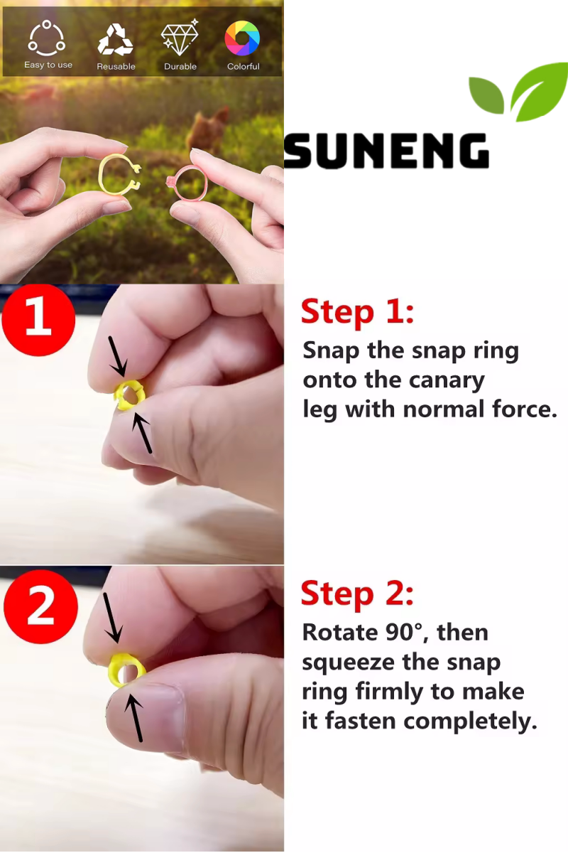 pigeon_foot_ring_handle_pic