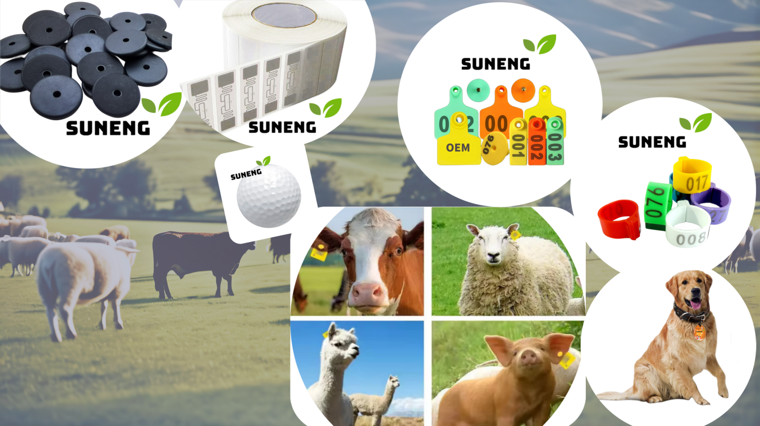 sunengtag_banner