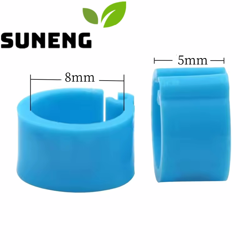 pigeon_foot_ring_size_blue_pic