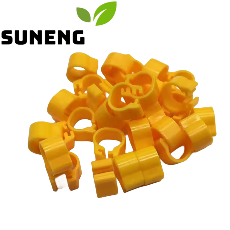pigeon_foot_ring_pic_yellow