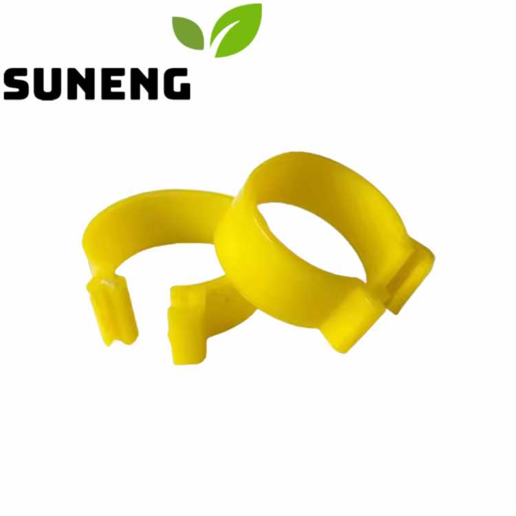 pigeon_foot_ring_pic